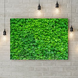 Картина на полотні "Стіна із зеленого листя"