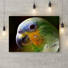 Картина на холсте "Зеленый попугай"