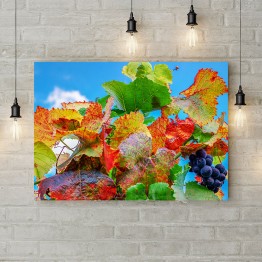 Картина на холсте "Спелый виноград"