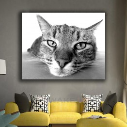 Картина на полотні Котяча морда